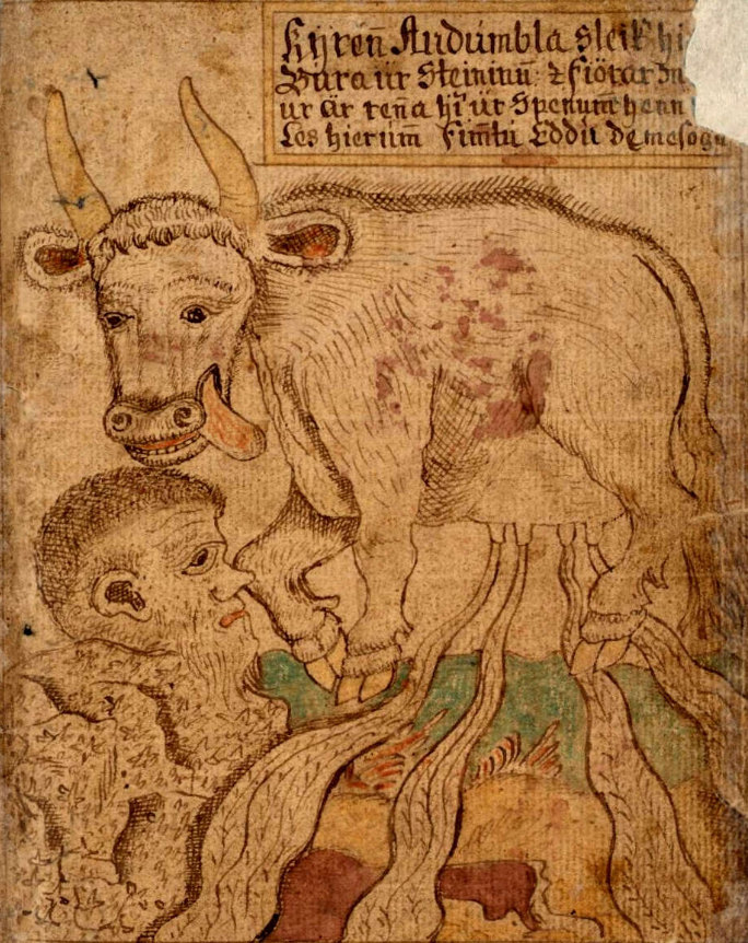 Auðhumbla licks Búri out of the ice.

From an 18th-century Icelandic manuscript.